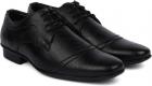 Provogue Lace Up Shoes  (Black)
