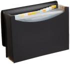 AmazonBasics Expanding File, Letter Size - Black - with 13 pockets