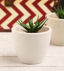 White Ceramic Table Top Planter by Decardo