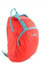 American Tourister Flint Backpack  (Red)